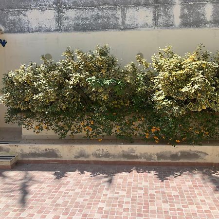 Mari-Mare Home Rodi Garganico Dış mekan fotoğraf
